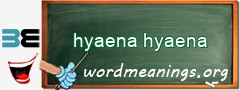 WordMeaning blackboard for hyaena hyaena